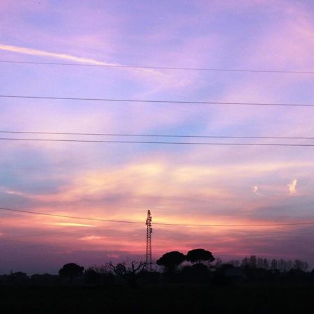 Meditur Hotel Pisa Migliarino Pisano Exteriér fotografie